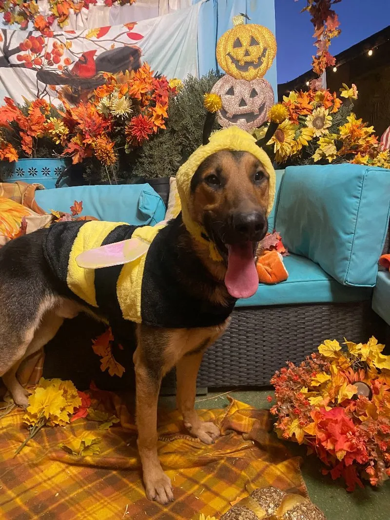 Awesome Paul The  thumbnail 4