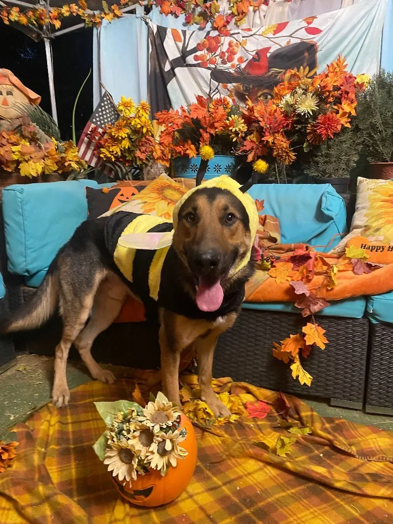 Awesome Paul The  thumbnail 6