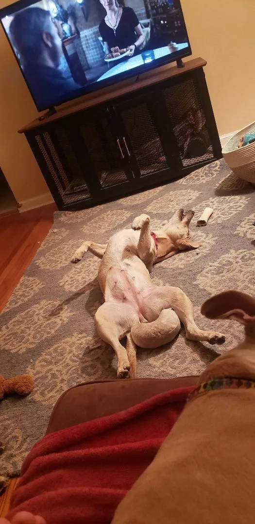 Prudence thumbnail 4