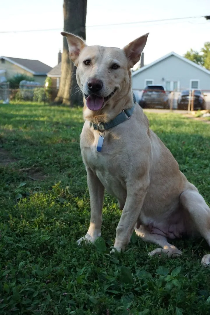 Prudence thumbnail 6