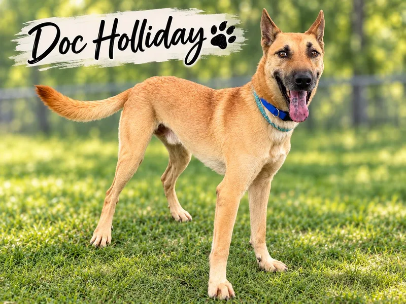 Doc Holliday thumbnail 4