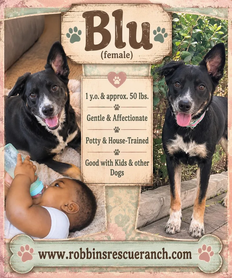 Blu