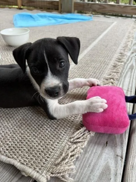 George