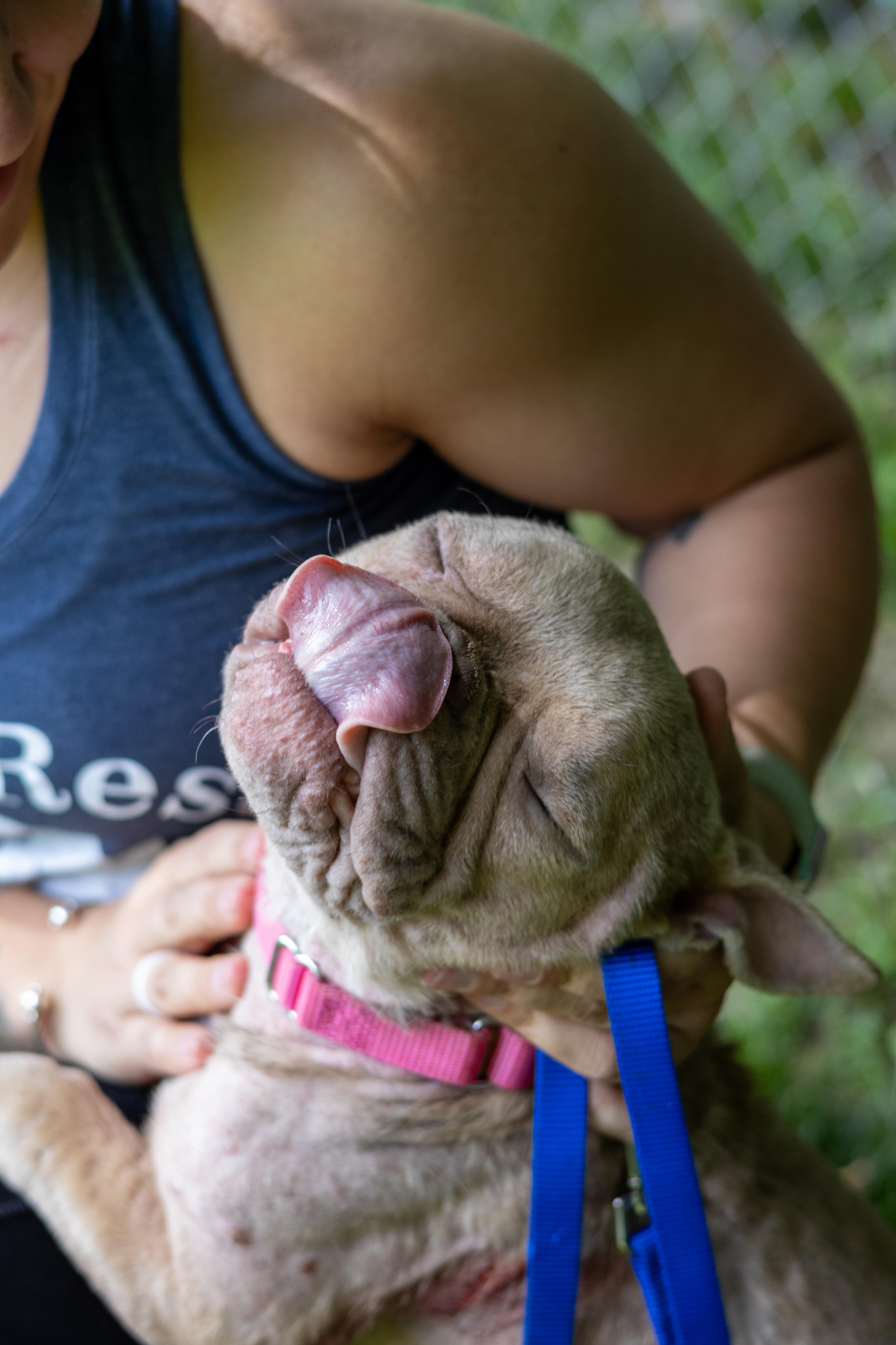 Rosie thumbnail 4