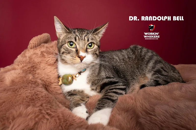 Dr Randolph Bell thumbnail 3