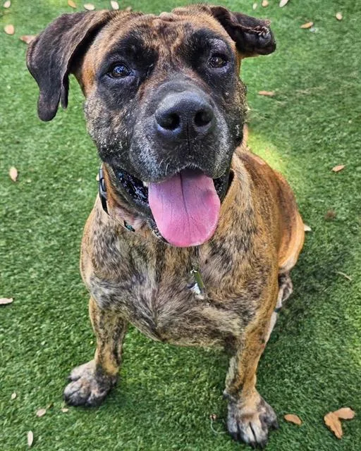Lennox