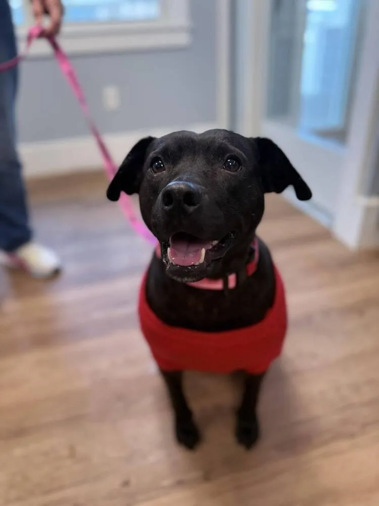 Mary Jane thumbnail 3