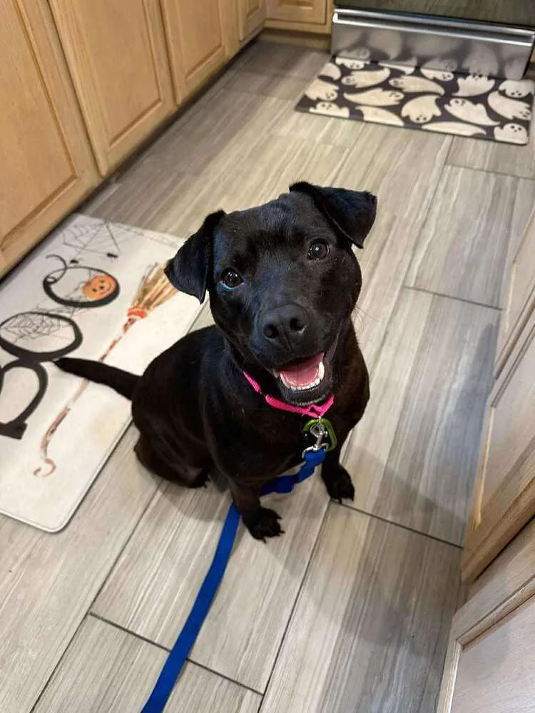 Mary Jane thumbnail 5