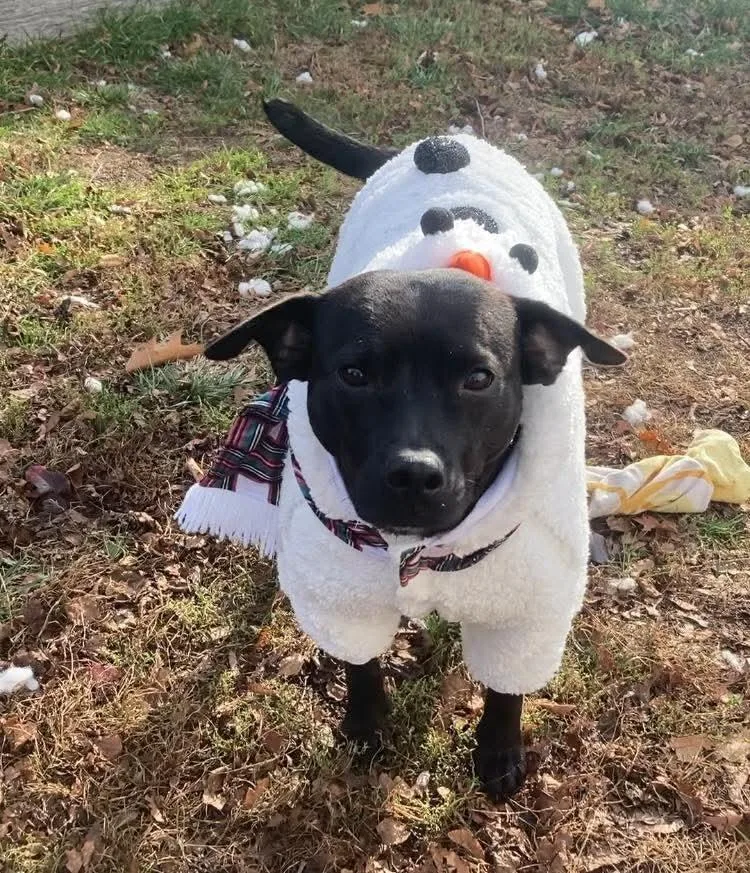 Mary Jane thumbnail 6