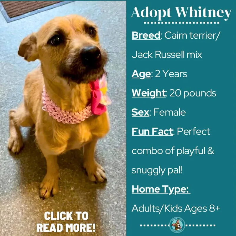Whitney thumbnail 2