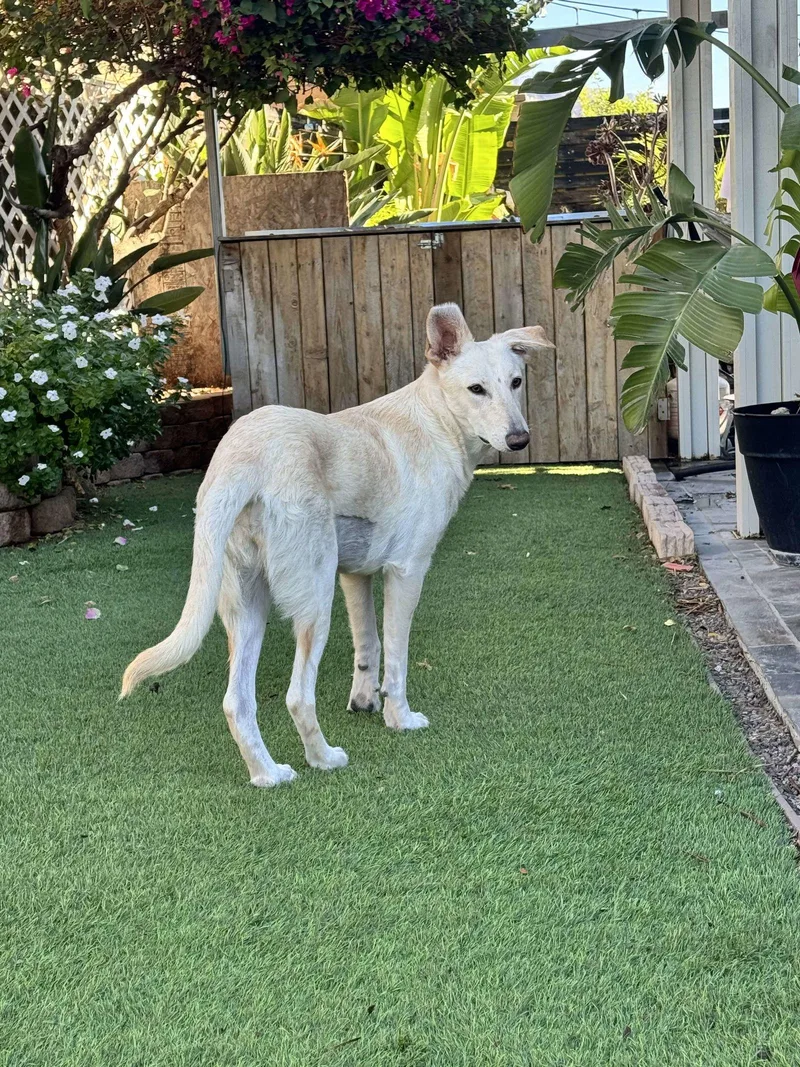 Grace Kelly thumbnail 2