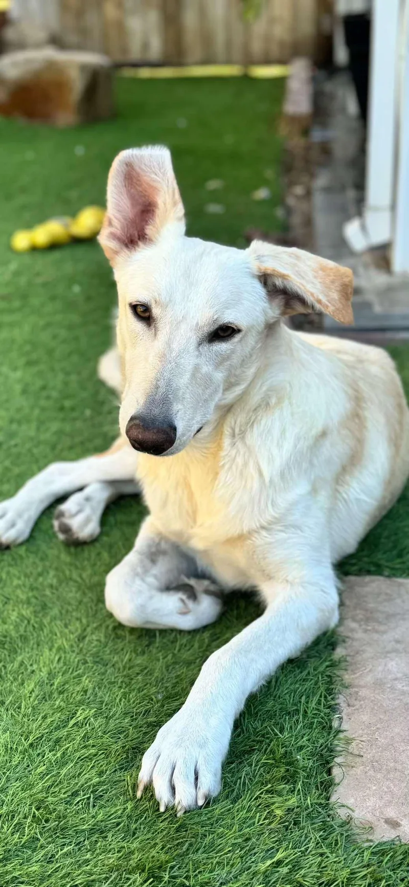 Grace Kelly thumbnail 3