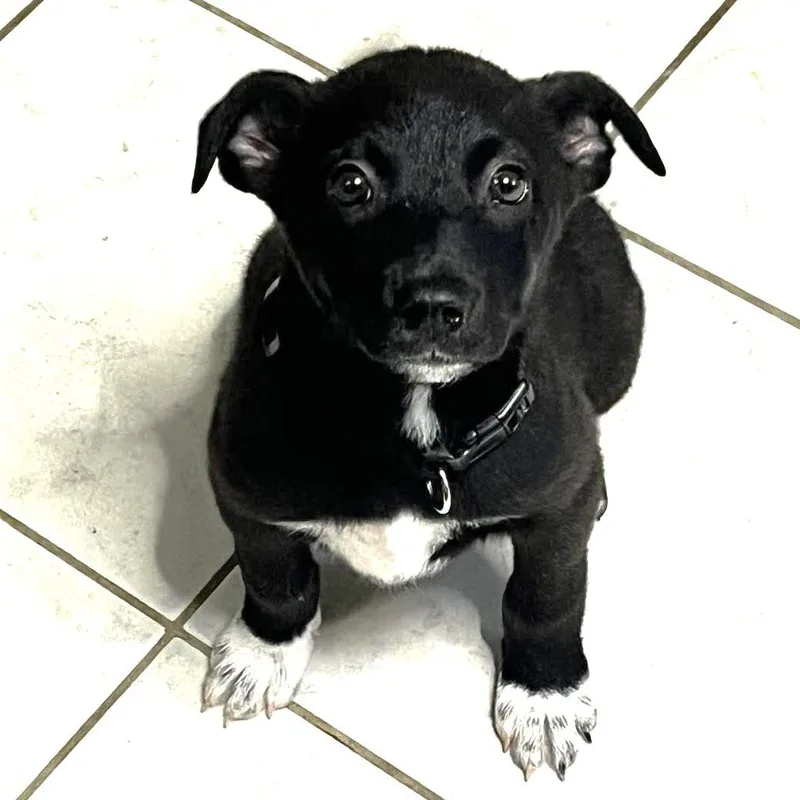 Eleanor thumbnail 4