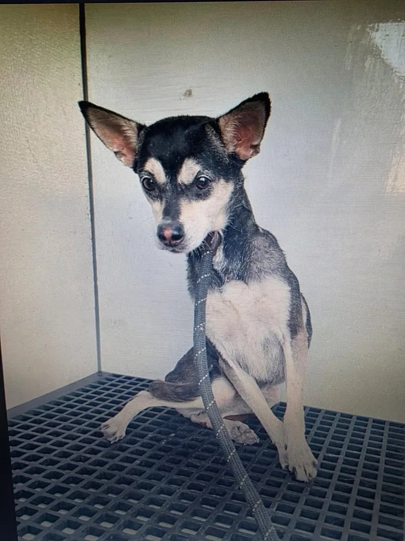 Bruce Barrow thumbnail 3