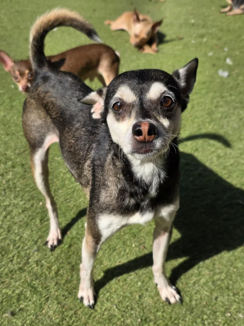 Bruce Barrow thumbnail 4