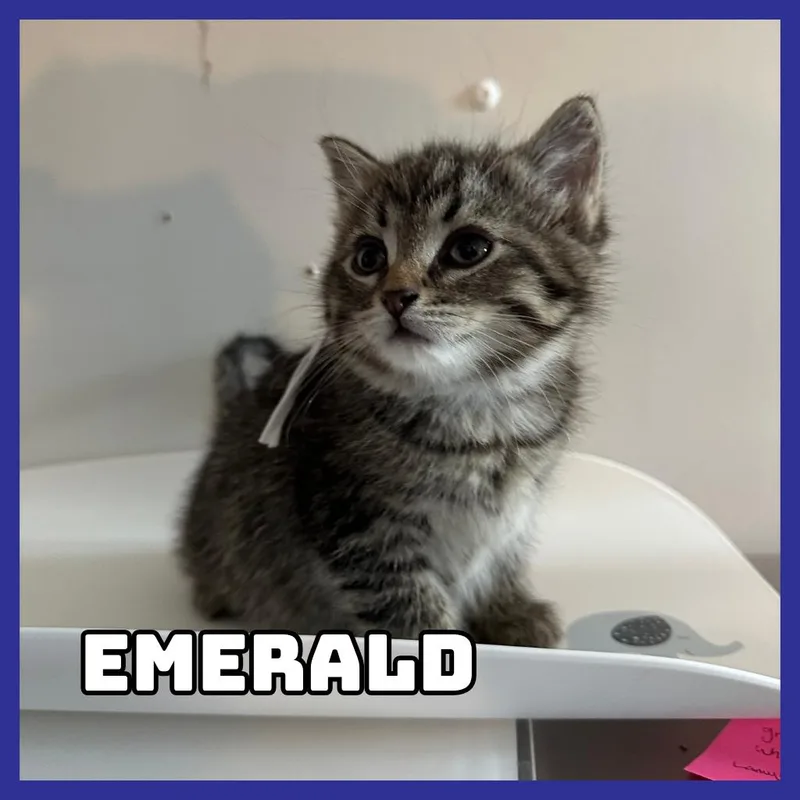 Emerald