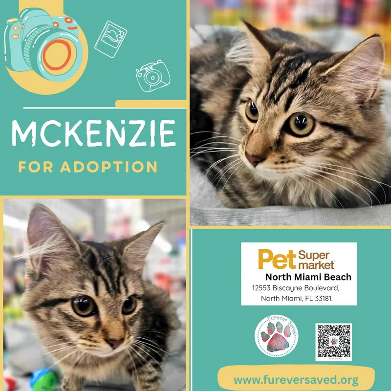 McKenzie thumbnail 3