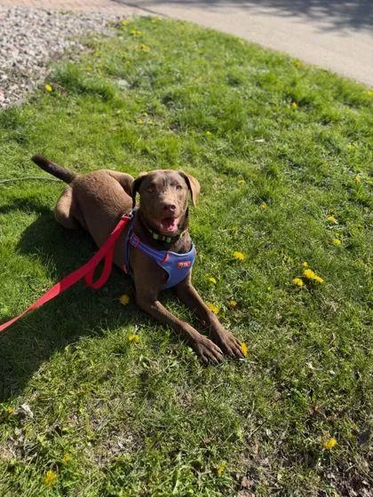 Ernie
