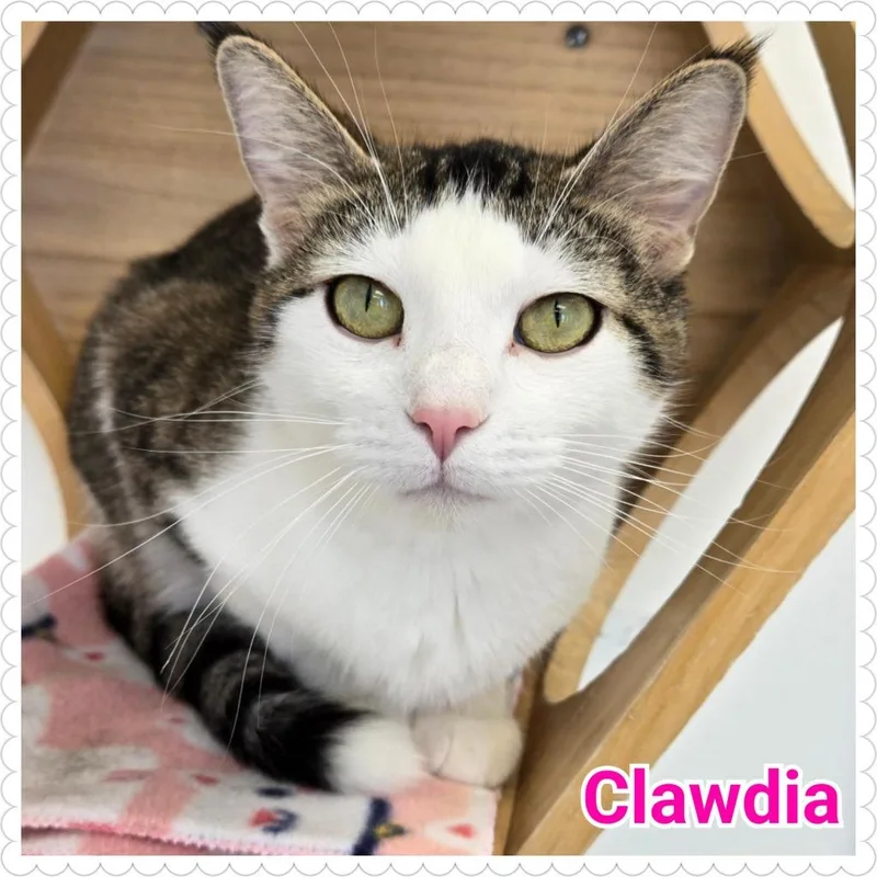 Clawdia thumbnail 2