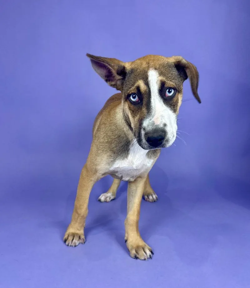 Whitecap thumbnail 2