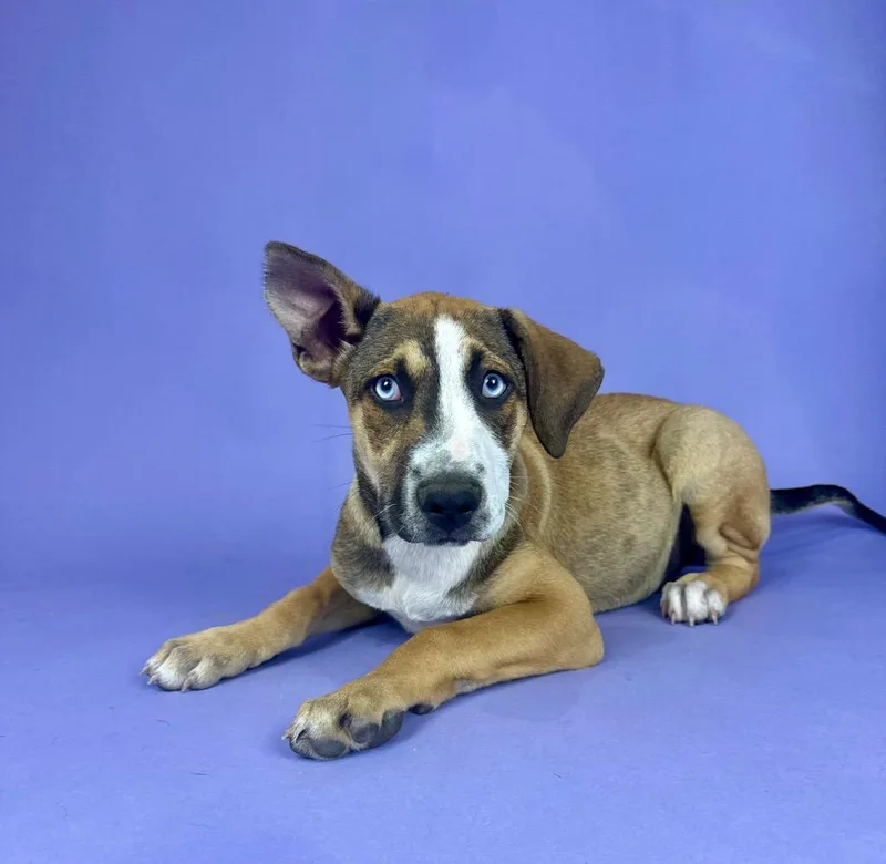 Whitecap thumbnail 3