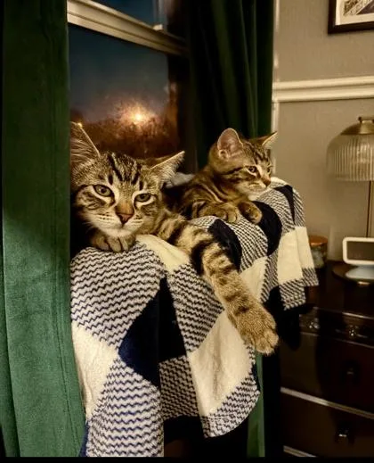 Big Foot thumbnail 2