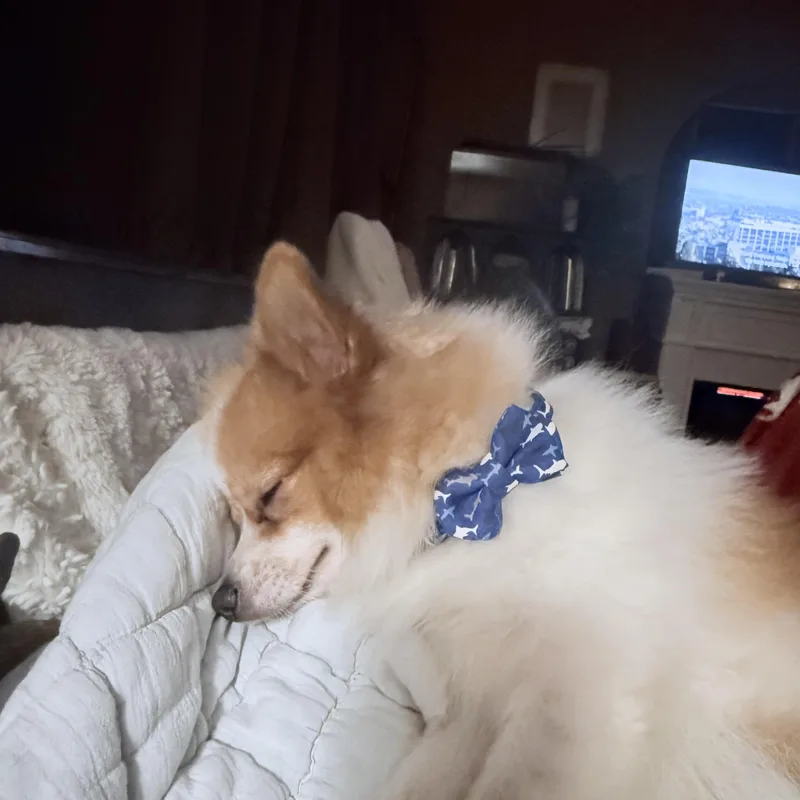Milo