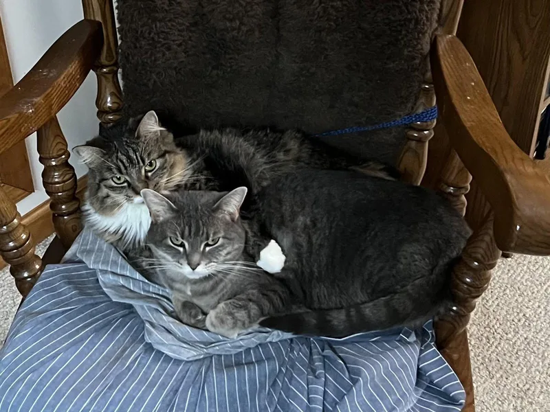 Zoey and Ellie thumbnail 3