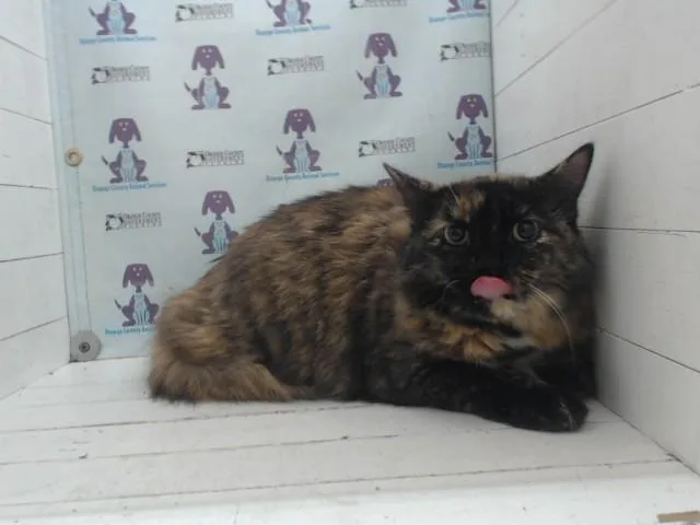 Hera