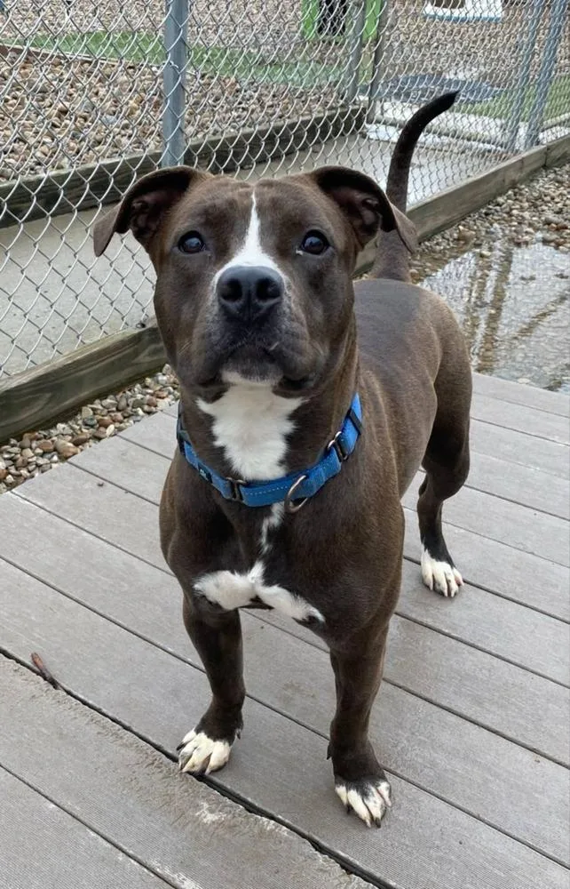 Daisy Leah thumbnail 4