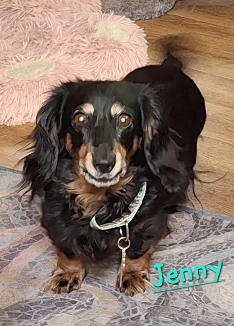 Jenny thumbnail 2