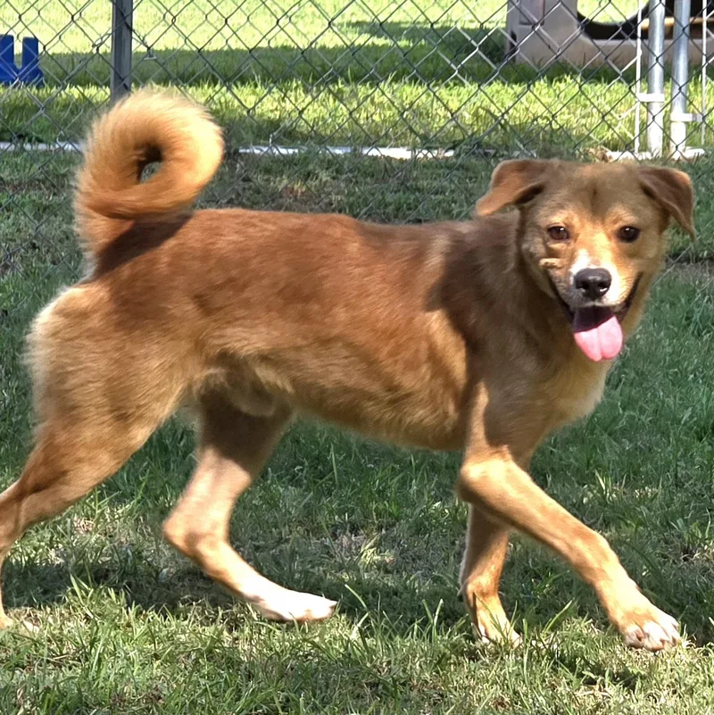 Finley