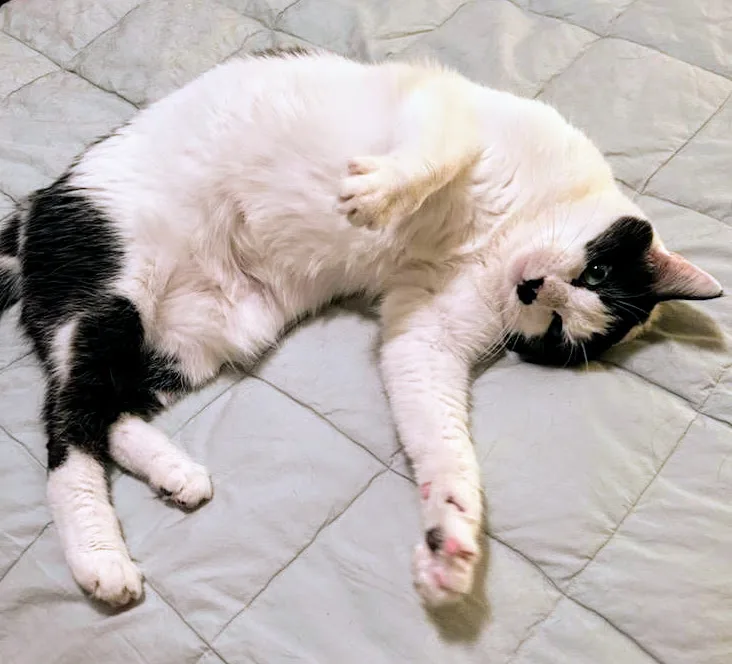 Kylie  Rancho Cucamonga thumbnail 2