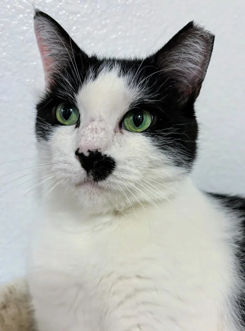 Kylie  Rancho Cucamonga thumbnail 3