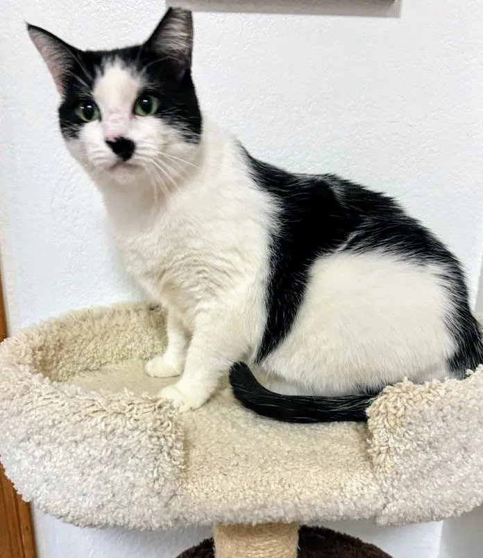 Kylie  Rancho Cucamonga thumbnail 4