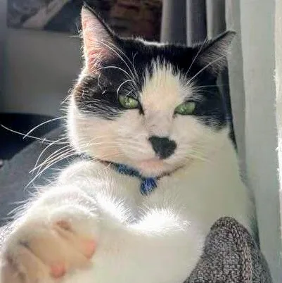 Kylie  Rancho Cucamonga