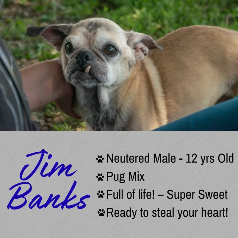 Jim Banks