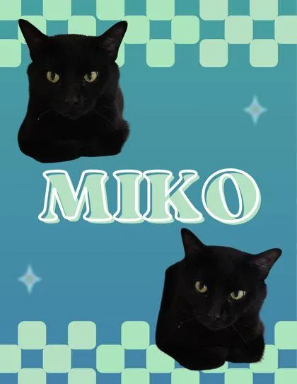 Miko