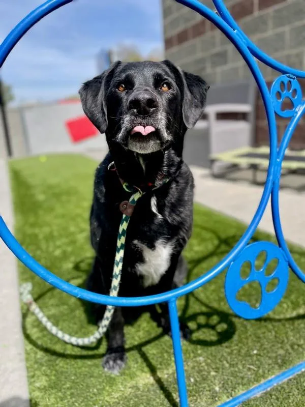 Thompson thumbnail 2