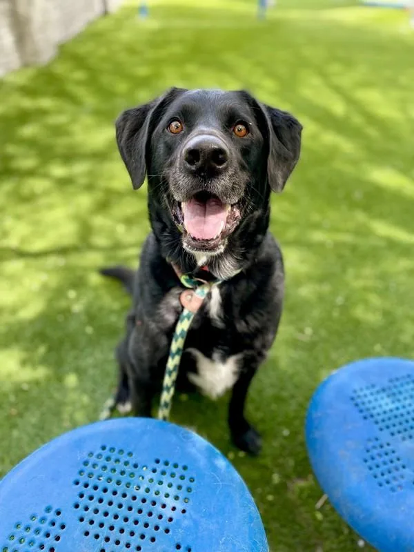 Thompson thumbnail 3