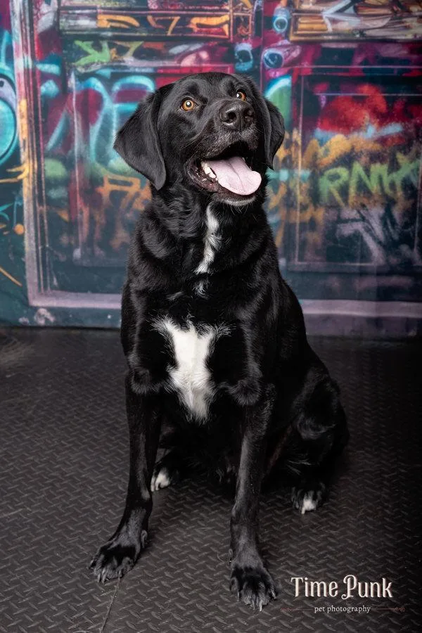 Thompson thumbnail 4