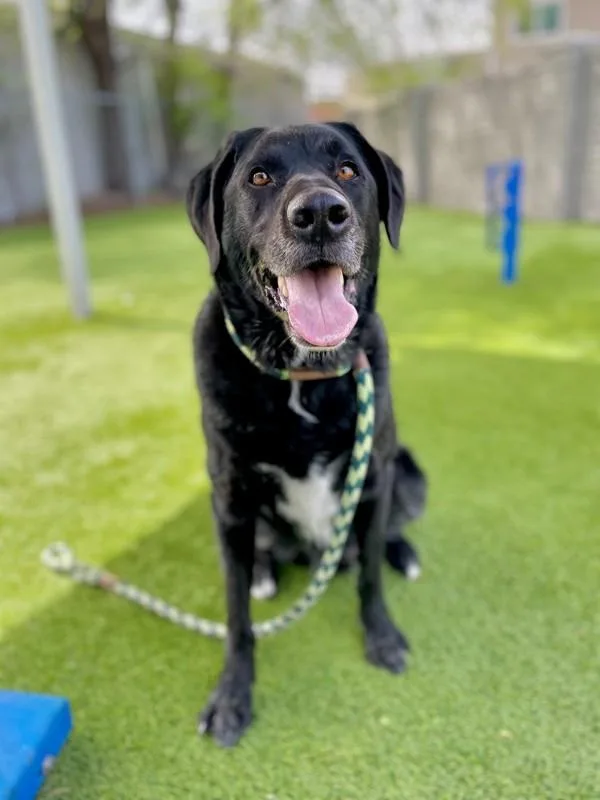 Thompson thumbnail 5