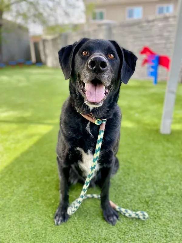 Thompson thumbnail 6