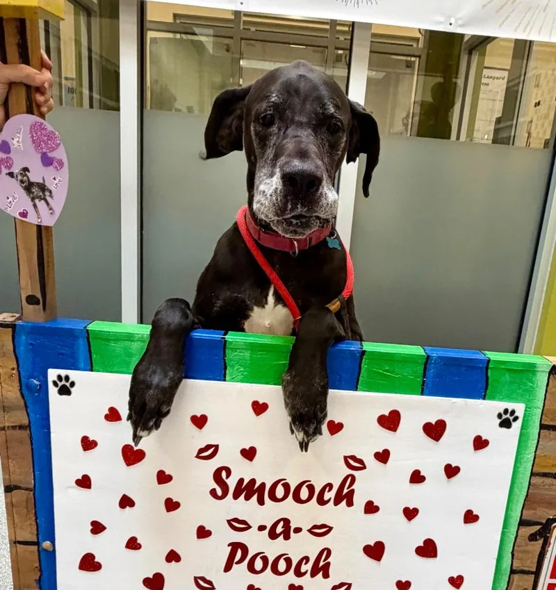 Daisy Mae thumbnail 4