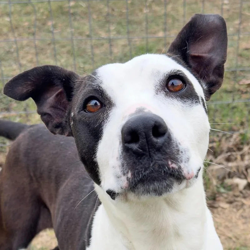 Nausicaa thumbnail 2