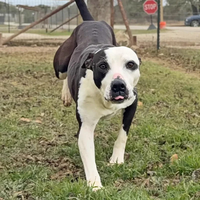 Nausicaa thumbnail 4