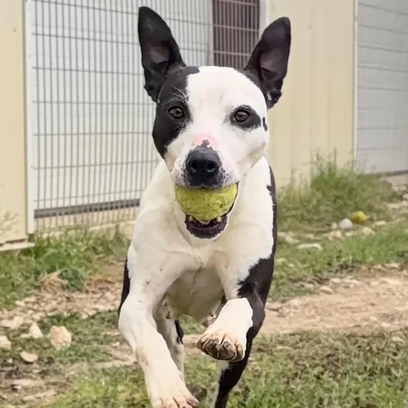 Nausicaa thumbnail 5