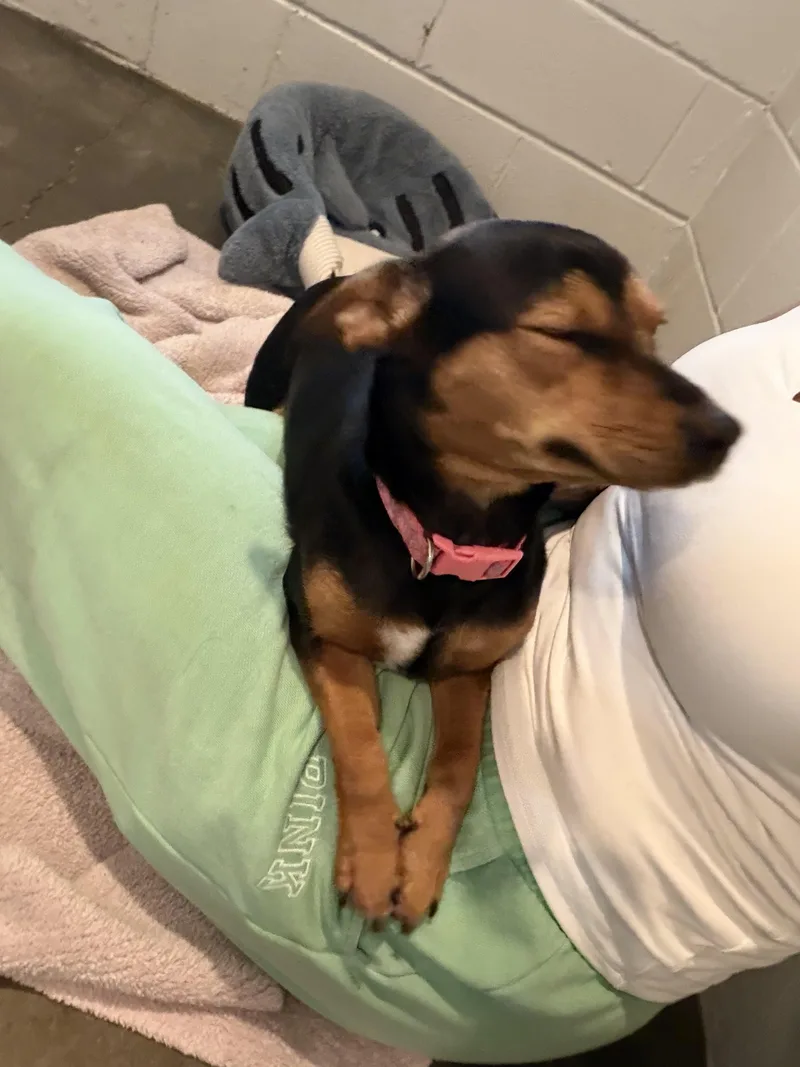 Millie thumbnail 2