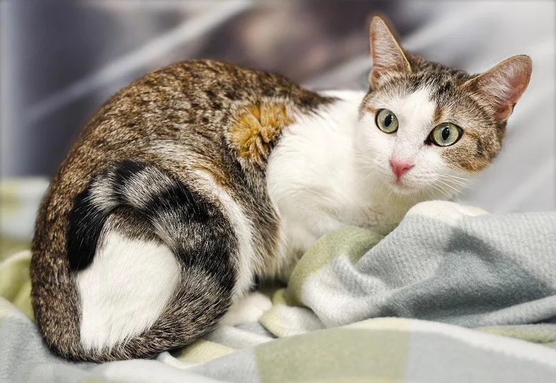 Infinity thumbnail 2