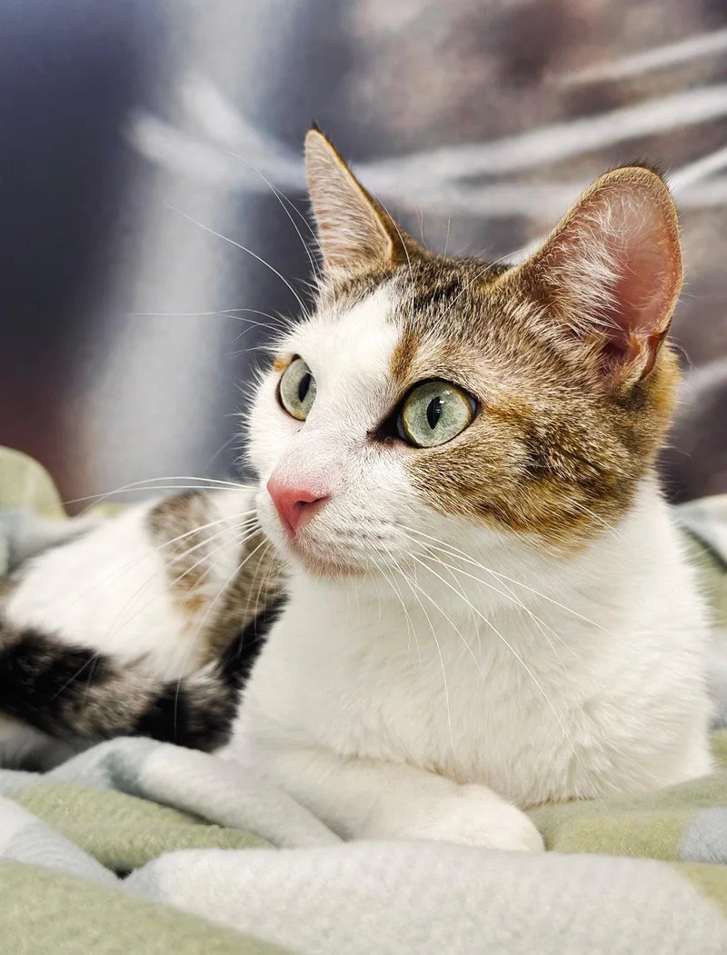 Infinity thumbnail 3